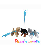 CHIEN LAISSE, 20CM, ASST