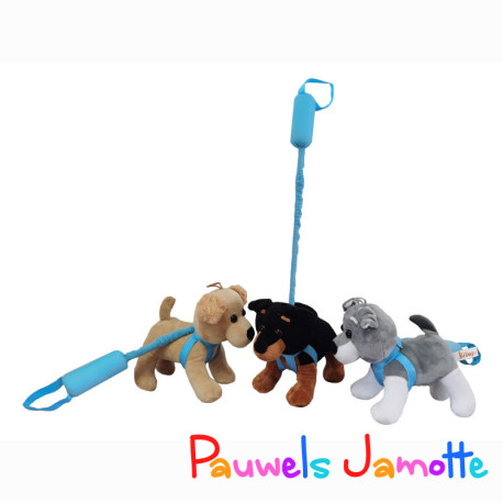 CHIEN LAISSE, 20CM, ASST