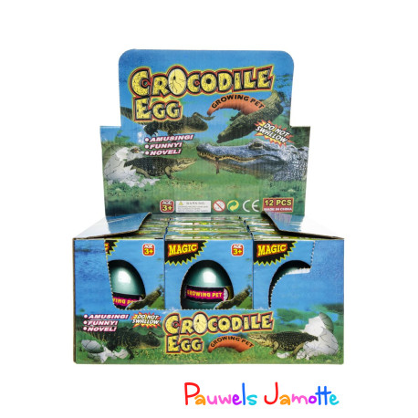OEUF DE CROCODILE, 10CM, SE VEND PAR 6