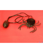 ARAIGNEE SAUTEUSE