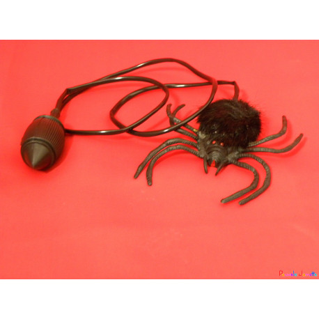ARAIGNEE SAUTEUSE